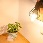 Cityhouse 3* 메이른호픈